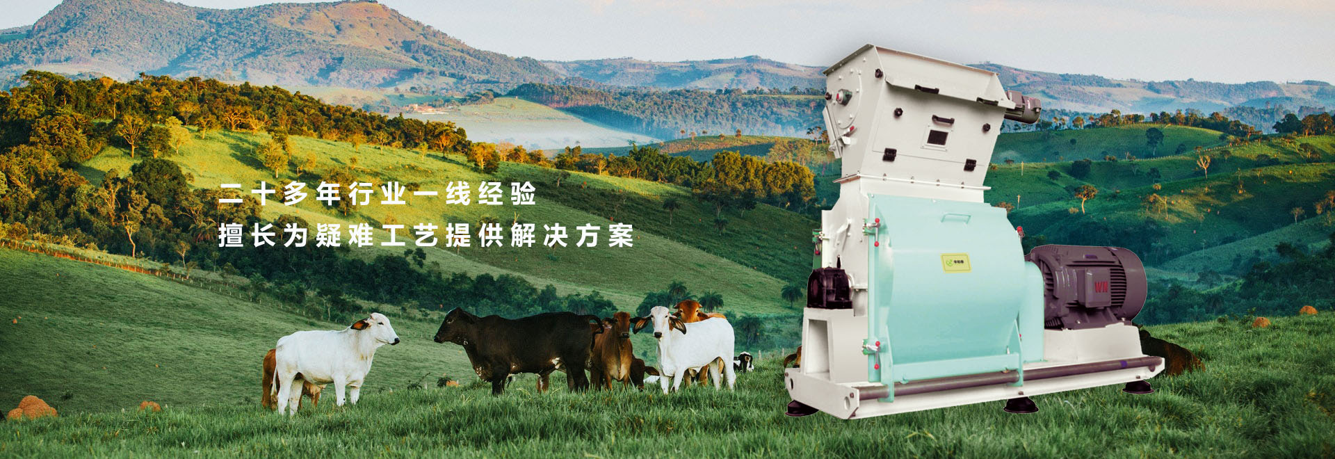 煙臺(tái)大興重工